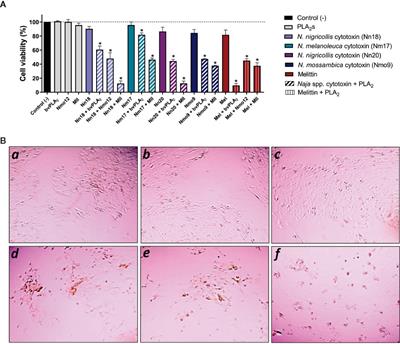 Unity Makes Strength: Exploring Intraspecies and Interspecies Toxin Synergism between Phospholipases A2 and Cytotoxins